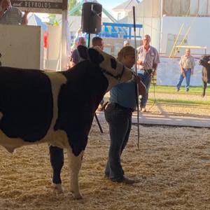 Meet your Posher, Aliyah